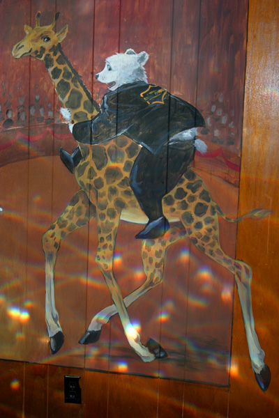 Bear on Camel