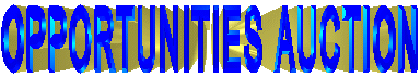 oppauct.gif (14783 bytes)